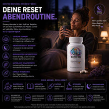 Ginseng-Komplex - Hochwertige Ginseng Ergänzung für mehr Balance und Stabilität - SENDER ENERGY